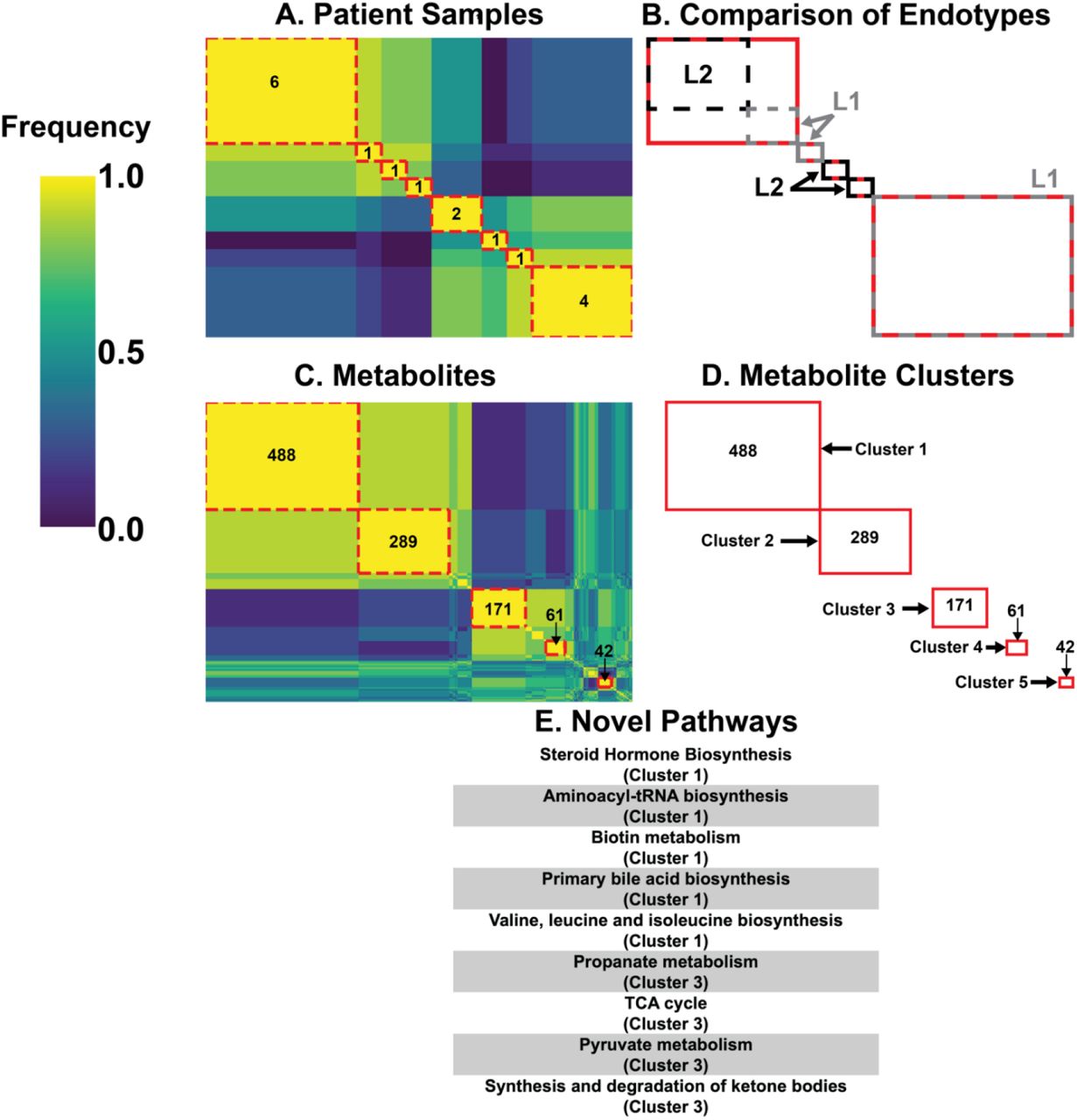 ensemble clustering